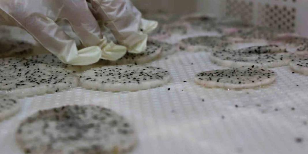 Kurutulmuş meyve sektörünün yeni yıldızı! Bu lezzet artık yükselişte: Üreticinin yeni gözdesi oldu! 1